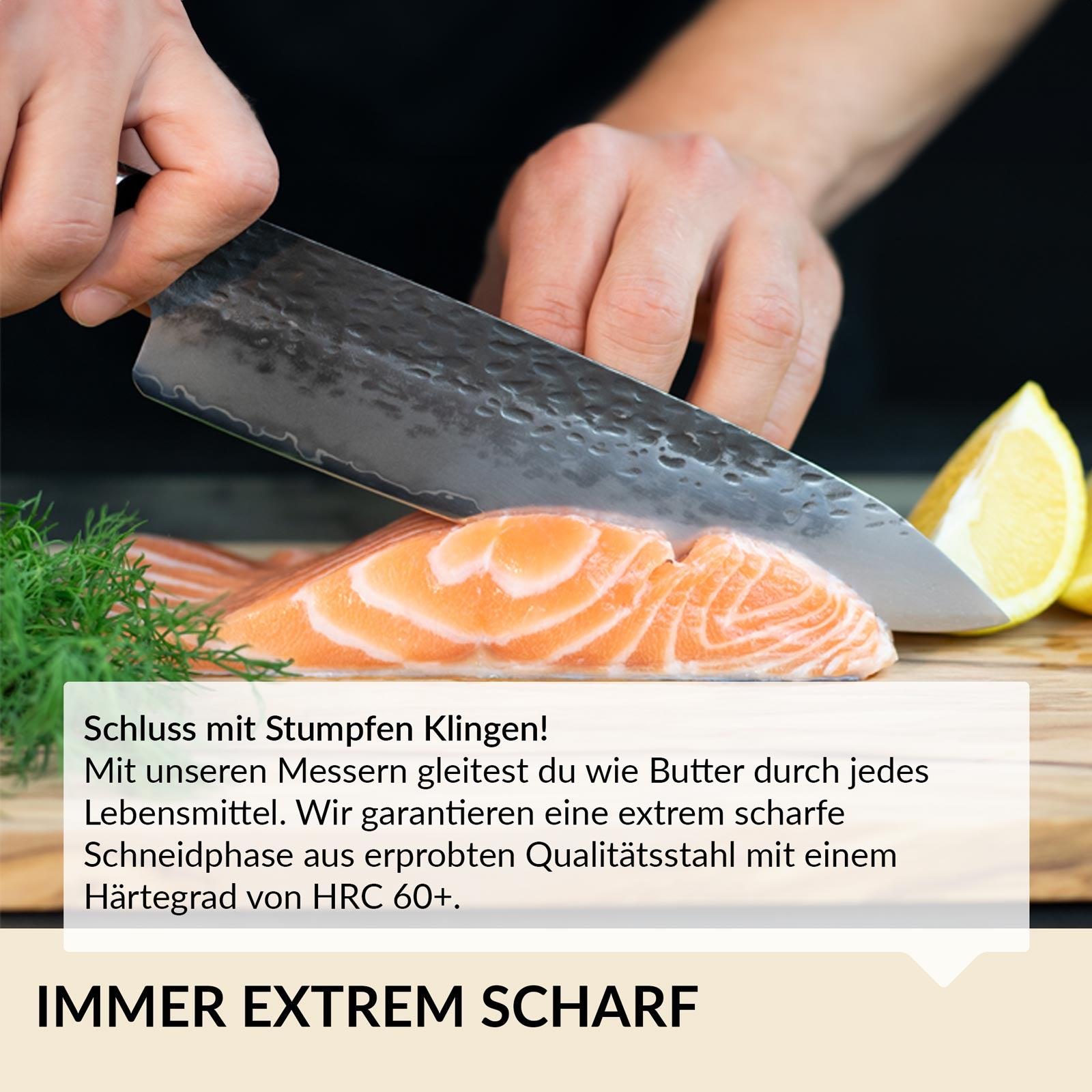 Gyuto Profi Kochmesser